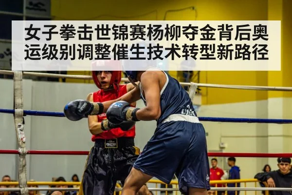 boxing match action