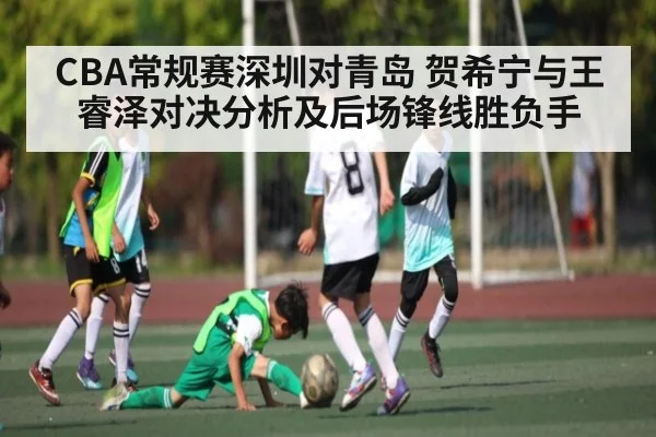 CBA常规赛深圳对青岛 贺希宁与王睿泽对决分析及后场锋线胜负手